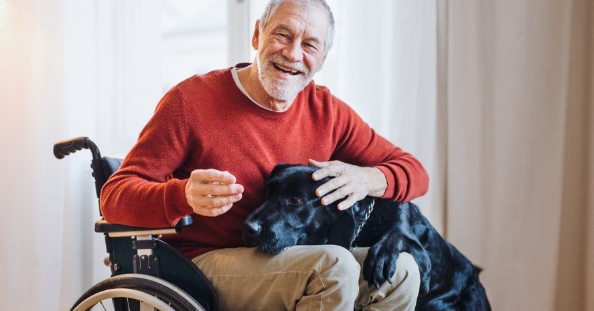 How Seniors Can Apply for Disability