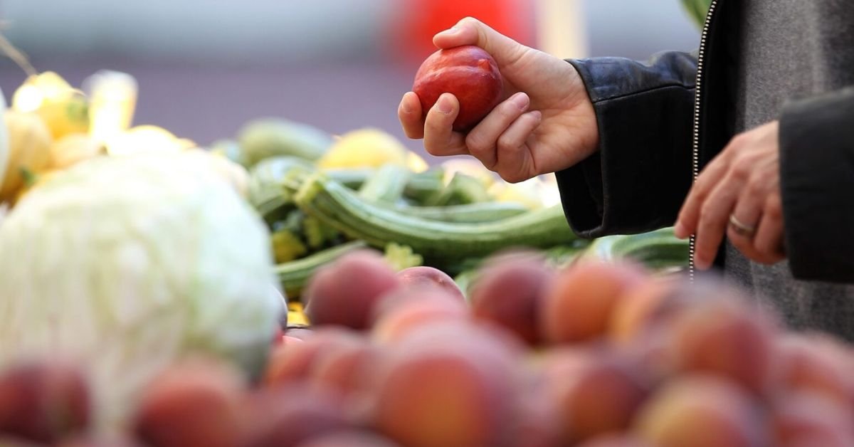 SNAP Options for Florida Seniors